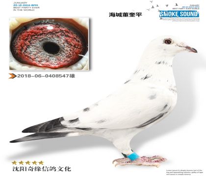 海城董奎平(鲁道 克拉森)