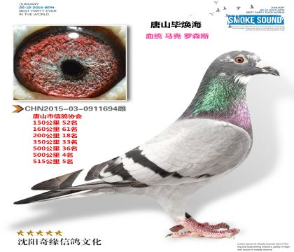 唐山毕焕海(唐山市500公里4名 500公里5名)