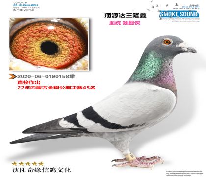 翔源达王隆鑫(金翔公棚45名父亲)独腿侠家族