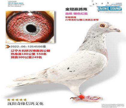 银色红狐(作出23年中正俱乐部大奖30名)