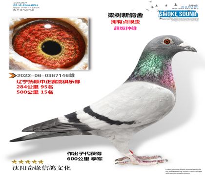 600公里季军父亲(500公里15名)