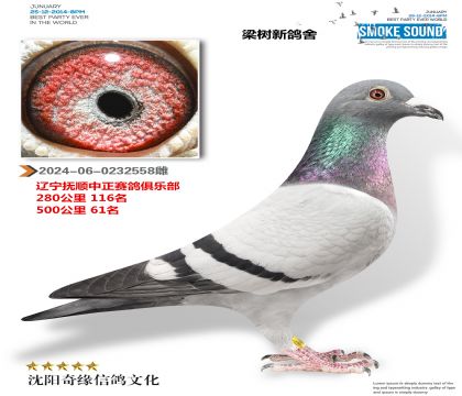 中正俱乐部500公里61名