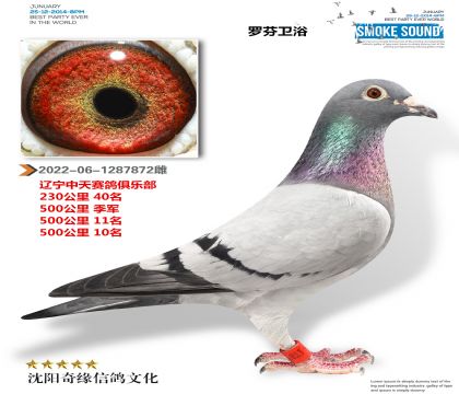 中天俱乐部500公里季军 500公里10名