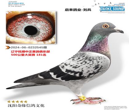 中正俱乐部大奖181名