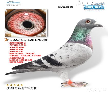 综合亚军520公里4名550公里5名