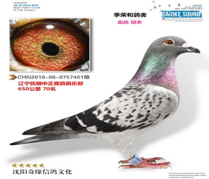 老胡本(700公里70名)