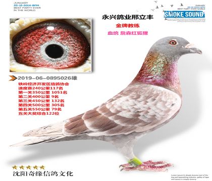 永兴团队邢立丰 红狐狸(400公里9名)