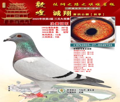 敦煌诚翔决赛冠军(三关鸽王9名)