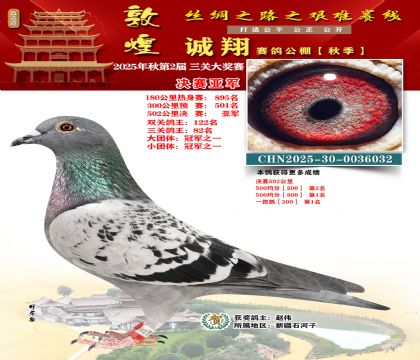 敦煌诚翔决赛亚军