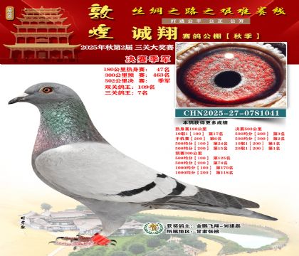 敦煌诚翔决赛季军(三关鸽王7名)