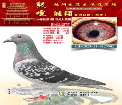 敦煌诚翔决赛4名