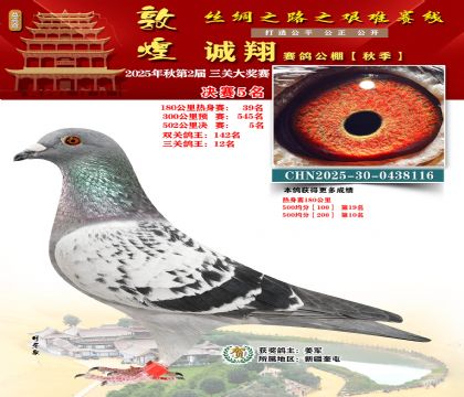 敦煌诚翔决赛5名