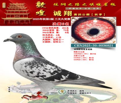 敦煌诚翔决赛6名