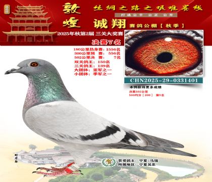 敦煌诚翔决赛7名