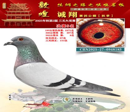 敦煌诚翔决赛8名