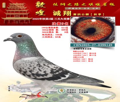 敦煌诚翔决赛9名