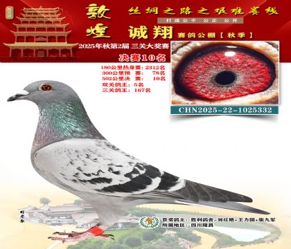 敦煌诚翔决赛10名