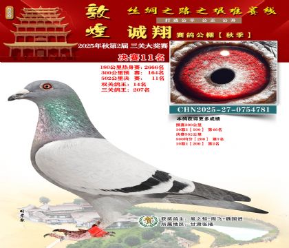 敦煌诚翔决赛11名