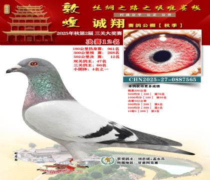 敦煌诚翔决赛12名