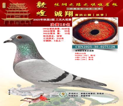 敦煌诚翔决赛13名