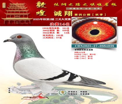 敦煌诚翔决赛14名