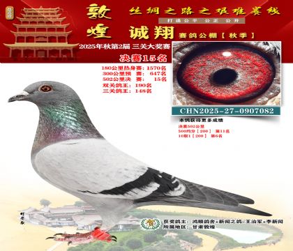 敦煌诚翔决赛15名