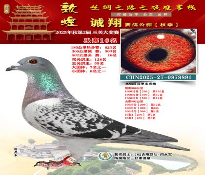 敦煌诚翔决赛16名