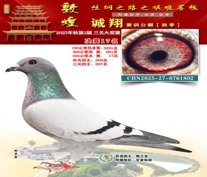 敦煌诚翔决赛17名