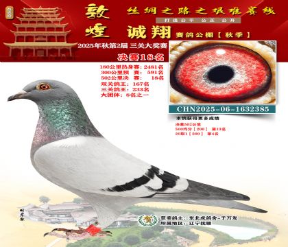 敦煌诚翔决赛18名