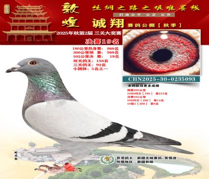 敦煌诚翔决赛19名