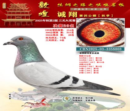 敦煌诚翔决赛20名(三关鸽王8名)