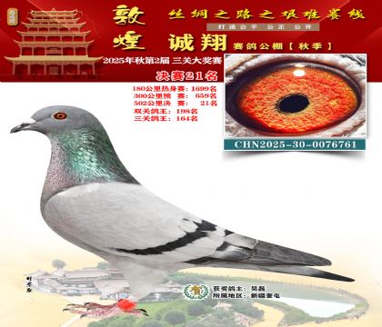 敦煌诚翔决赛21名