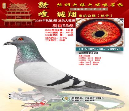 敦煌诚翔决赛22名