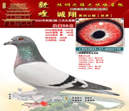 敦煌诚翔决赛23名