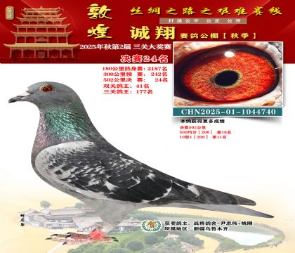 敦煌诚翔决赛24名