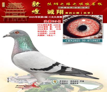 敦煌诚翔决赛25名