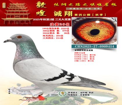 敦煌诚翔决赛26名