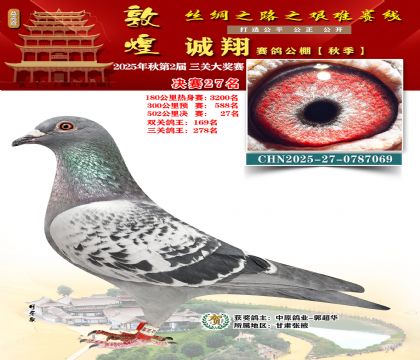 敦煌诚翔决赛27名