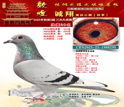 敦煌诚翔决赛28名