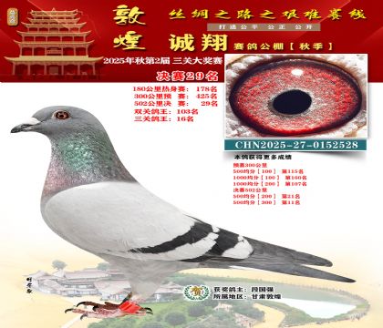 敦煌诚翔决赛29名