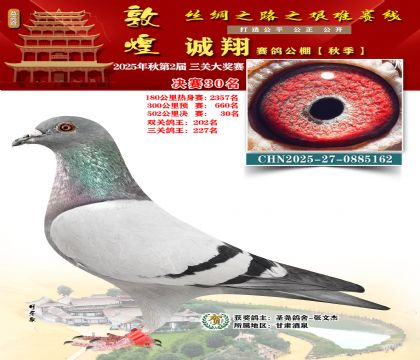 敦煌诚翔决赛30名