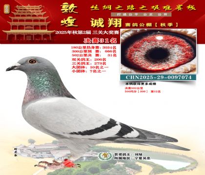 敦煌诚翔决赛31名