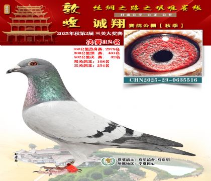 敦煌诚翔决赛32名