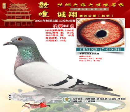 敦煌诚翔决赛33名