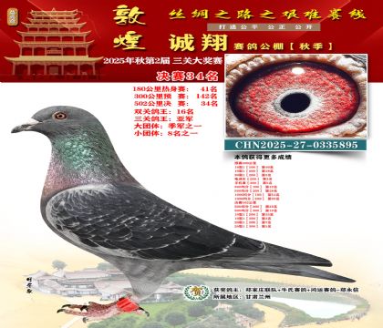 敦煌诚翔决赛34名(三关鸽王亚军)