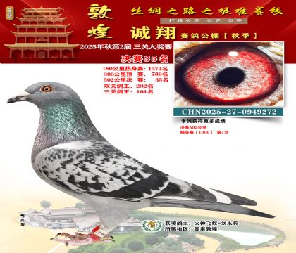 敦煌诚翔决赛35名