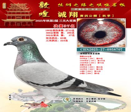 敦煌诚翔决赛37名