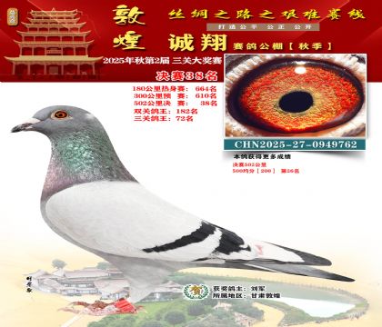 敦煌诚翔决赛38名