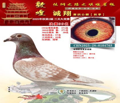 敦煌诚翔决赛39名