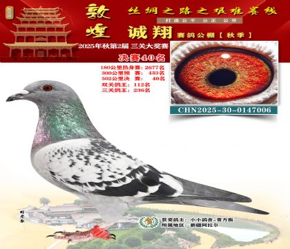 敦煌诚翔决赛40名